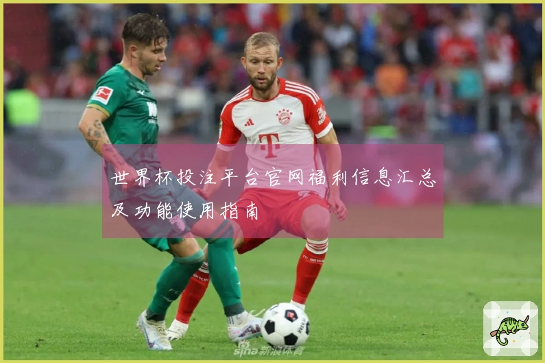 世界杯投注平台官网福利信息汇总及功能使用指南
