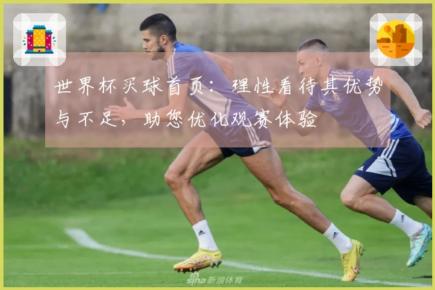 世界杯买球首页：理性看待其优势与不足，助您优化观赛体验