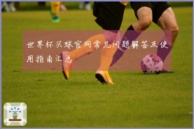 世界杯买球官网常见问题解答及使用指南汇总