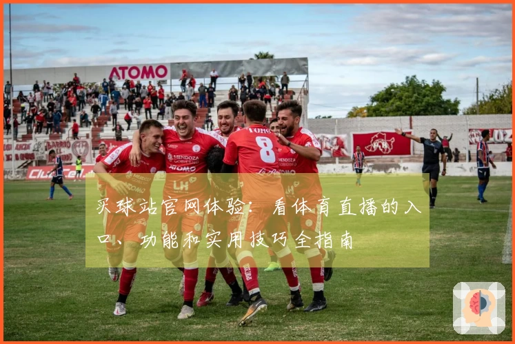 买球站官网体验:看体育直播的入口、功能和实用技巧全指南